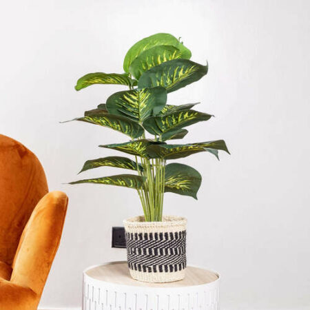 Handcrafted Flower Woven Basket: Perfect Home Décor Accent